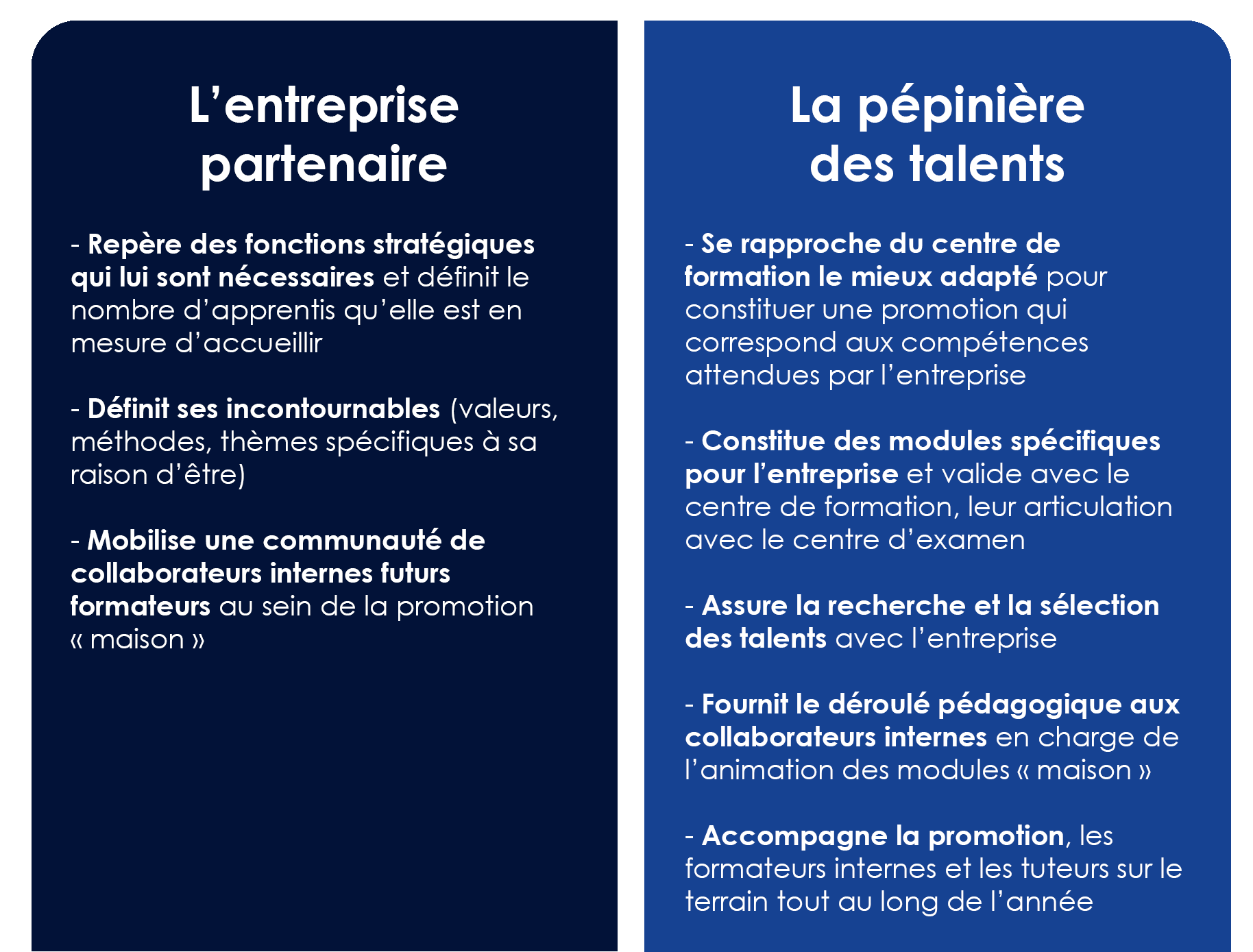 pepiniere des talents comment ca fonctionne